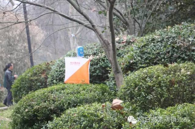 雨花臺林園3月6日上午“愛在春天，樂在自然”主題向日葵戶外定向活動